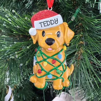 Pet Ornaments